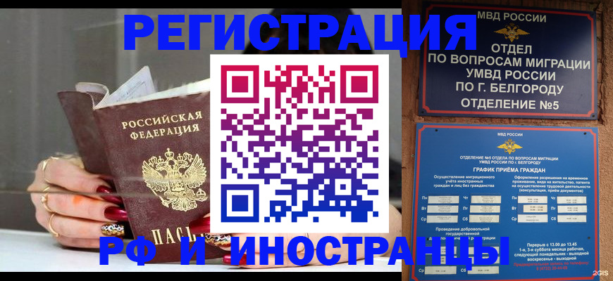 прописка в Щёлково